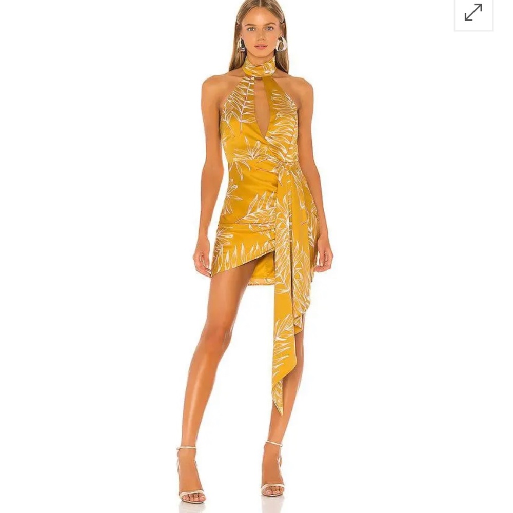 Camila Coehlo - Antonia dress medium (worn once)